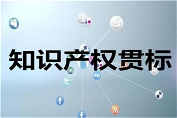 阜陽市知識產(chǎn)權(quán)貫標(biāo)